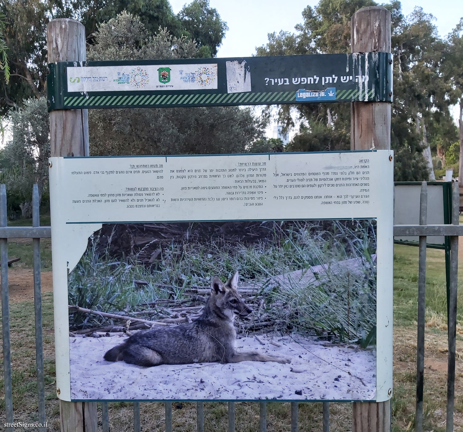 Hayarkon Park - What does the jackal have to look for in the city?