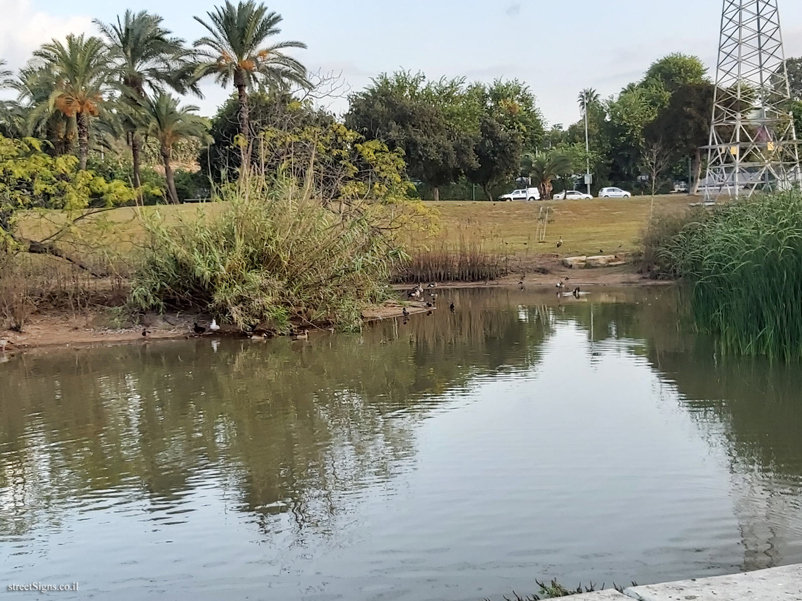 Tel Aviv - Hayarkon Park - Variety of vegetation in the Yarkon Reservoir