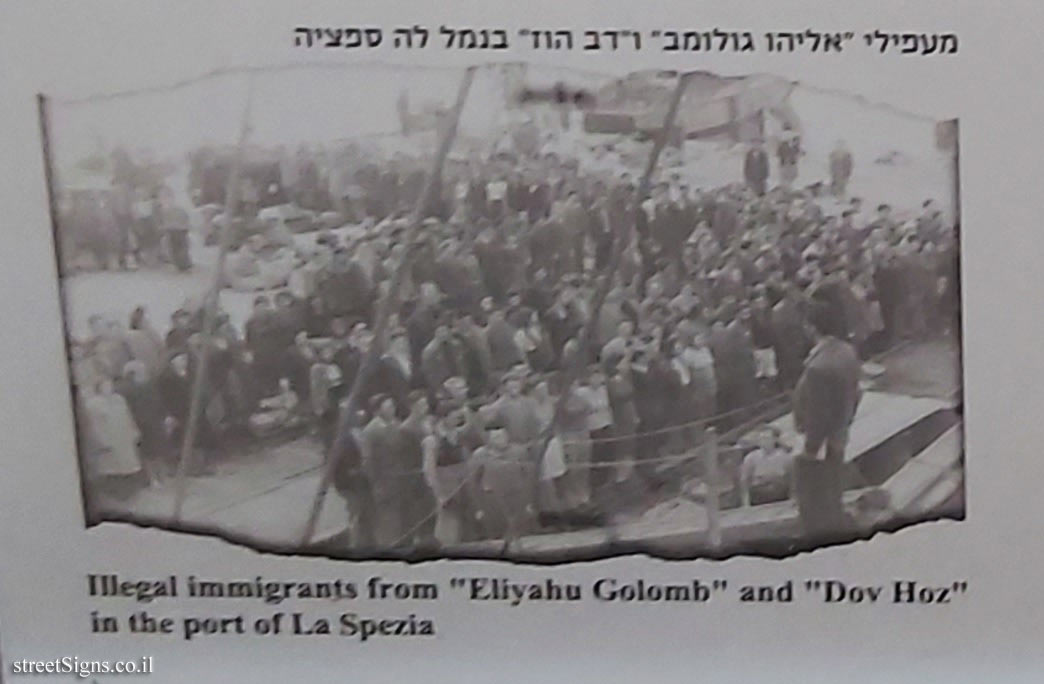 Illegal immigrants from "Eliyahu Golomb" and "Dov Hoz"  in the port of La Spezia - London Garden - The story of the illegal immigration - HaYarkon St 83, Tel Aviv-Yafo, Israel