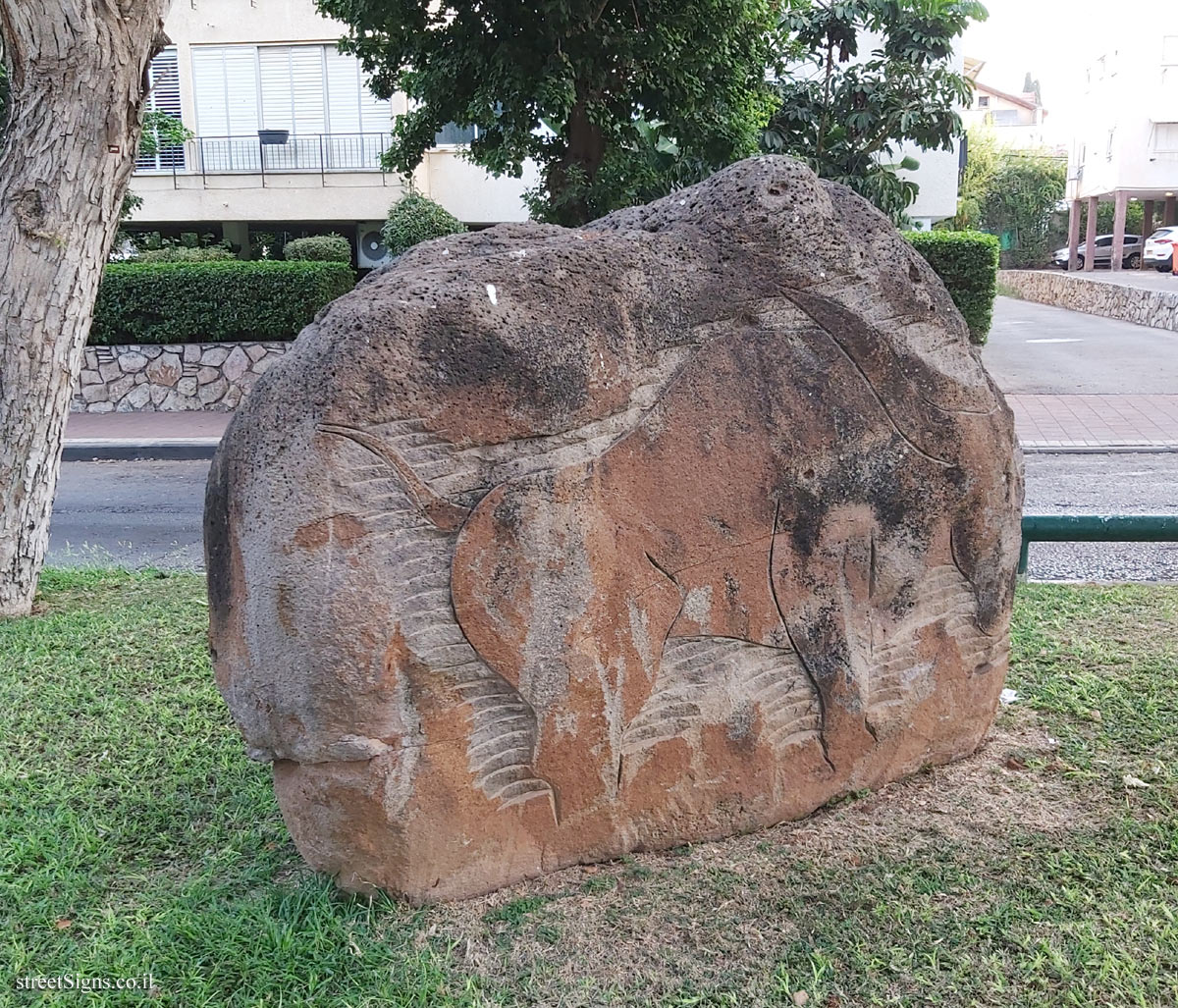 "Untitled" Outdoor sculpture by David Fine - Sderot Weizman 14, Ramat HaSharon, Israel