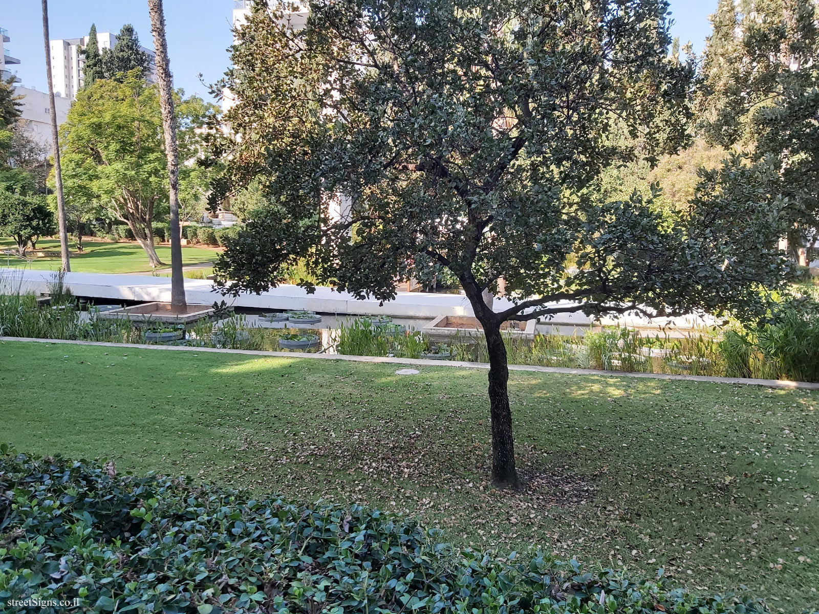 The vegetation in the Founders’ Garden - HaNassi St 44, Hadera, Israel