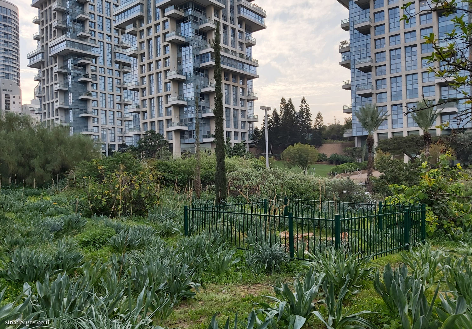 Tel Aviv - Community Urban Nature Park - Pinkas St 59, Tel Aviv-Yafo, Israel