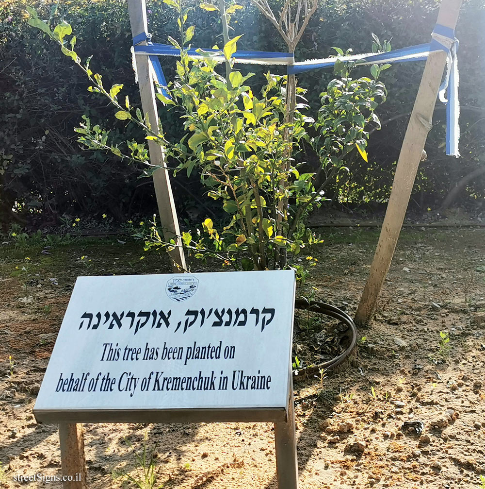 Rishon Lezion - trees planted for Sister cities - Kremenchuk, Ukraine