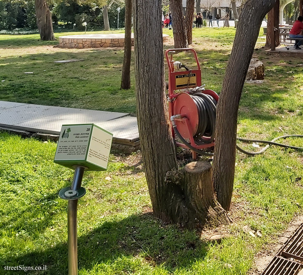 The Hebrew University of Jerusalem - Discovery Tree Walk