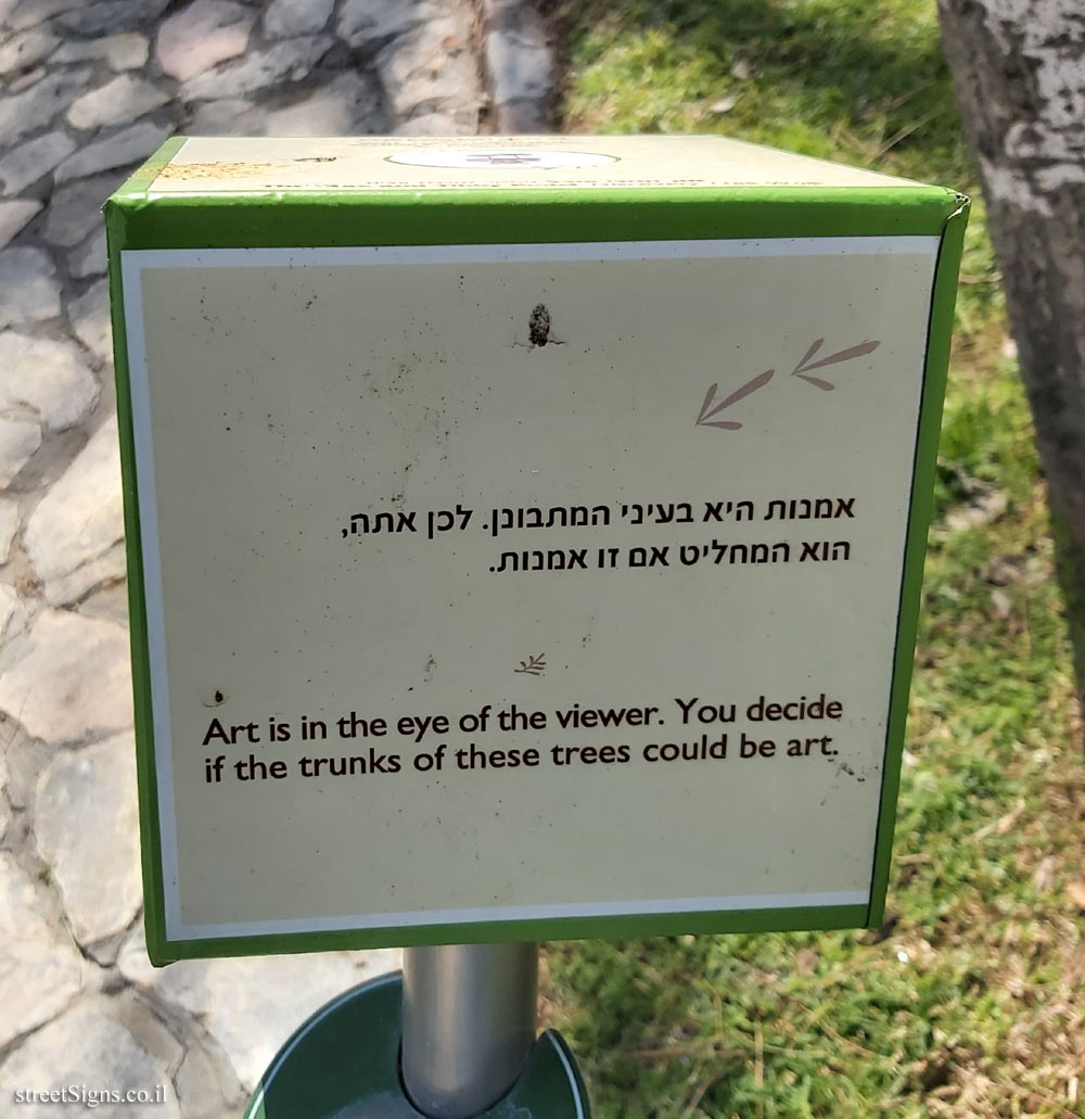 The Hebrew University of Jerusalem - Discovery Tree Walk - White Poplar - The fourth face