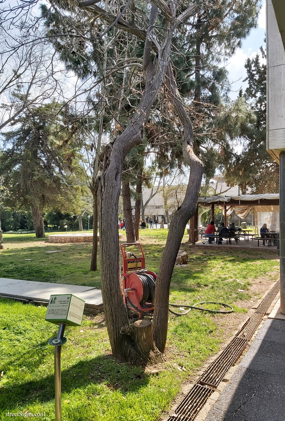 התמונה הבאה השייכת לשלט זה