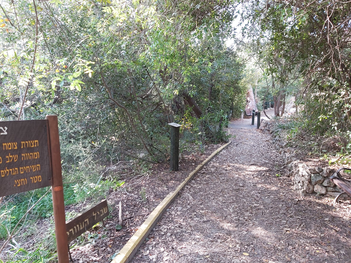 Tel Aviv - Ecological Botanical Garden - Lavon St, Tel Aviv-Yafo, Israel