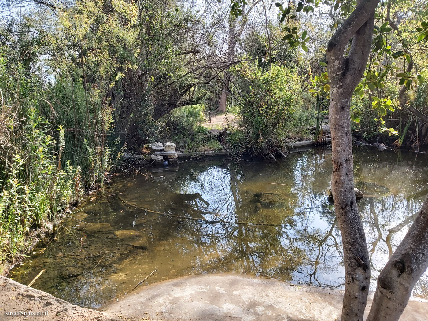 Tel Aviv - Ecological Botanical Garden - Lavon St, Tel Aviv-Yafo, Israel