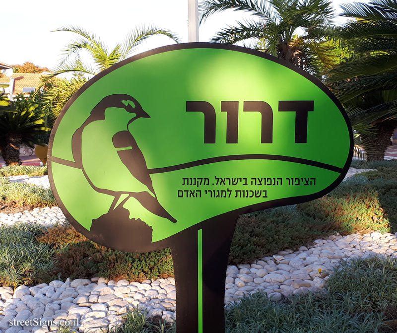 Shoham - Dror Square - Tarshish St 49, Shoham, Israel