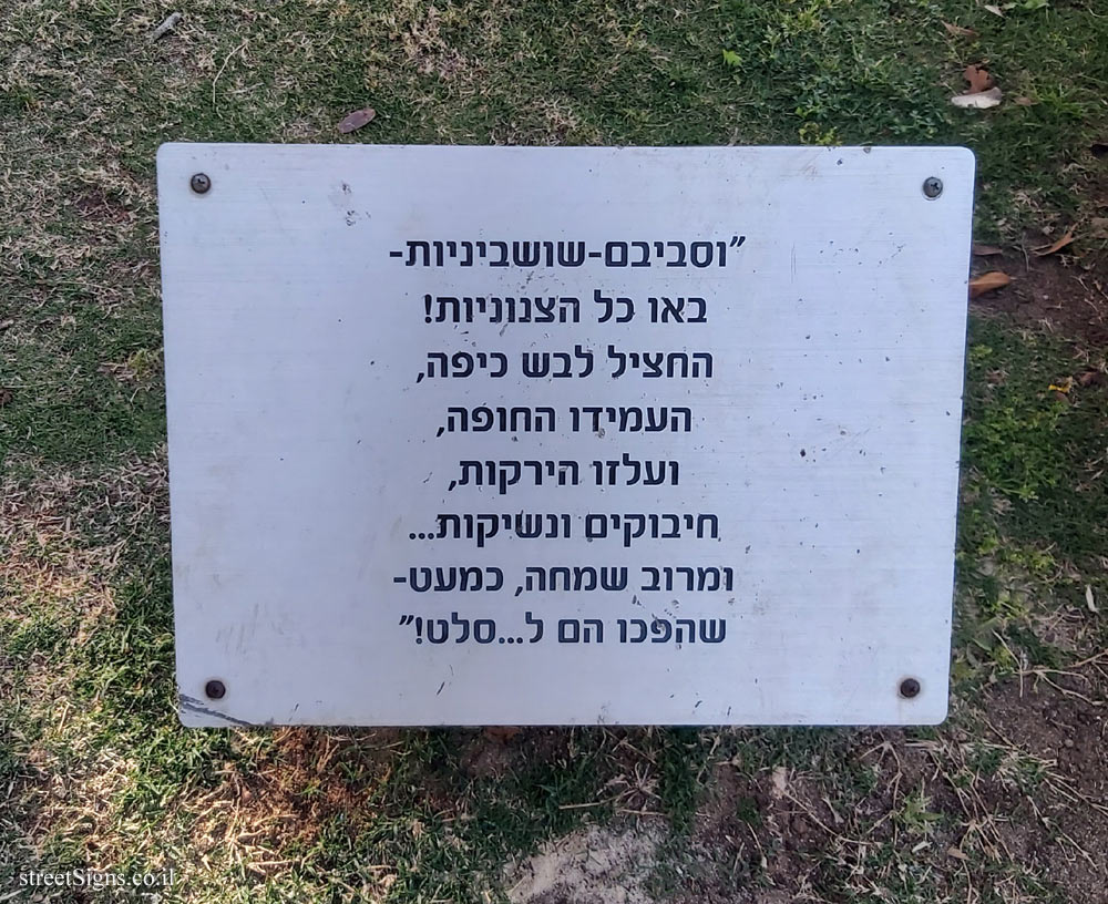 The following image belongs to this sign