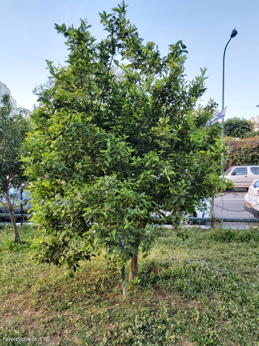 Tel Aviv Orchard - Clementine Michal - Bnei Dan St 8, Tel Aviv-Yafo, Israel