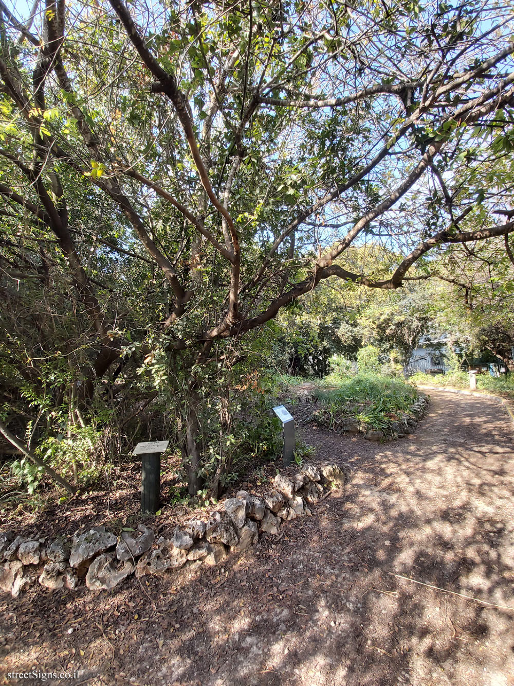 Tel Aviv - Ecological Botanical Garden - Terebinth - Herzl St 157, Tel Aviv-Yafo, Israel