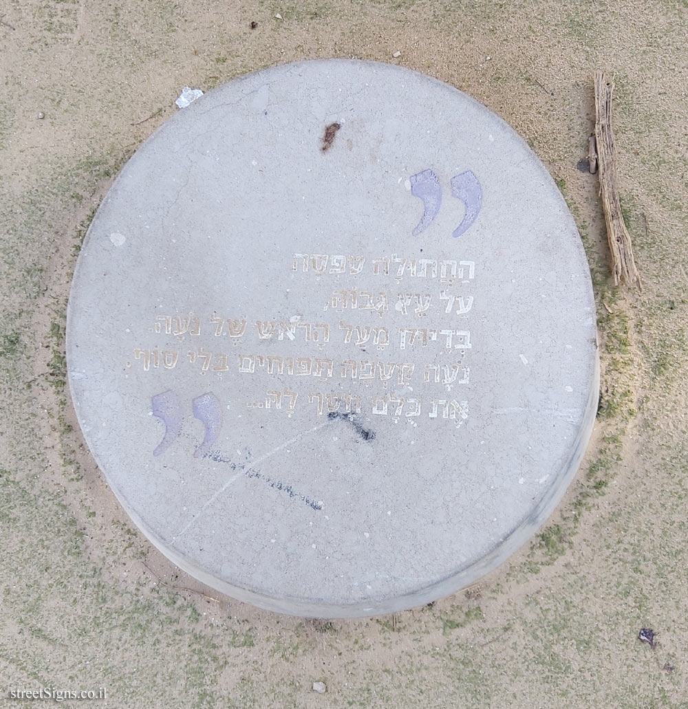 Holon - Story Garden - A purple monster - Quote from the book 1 - HaHamaniya St 8, Holon, Israel