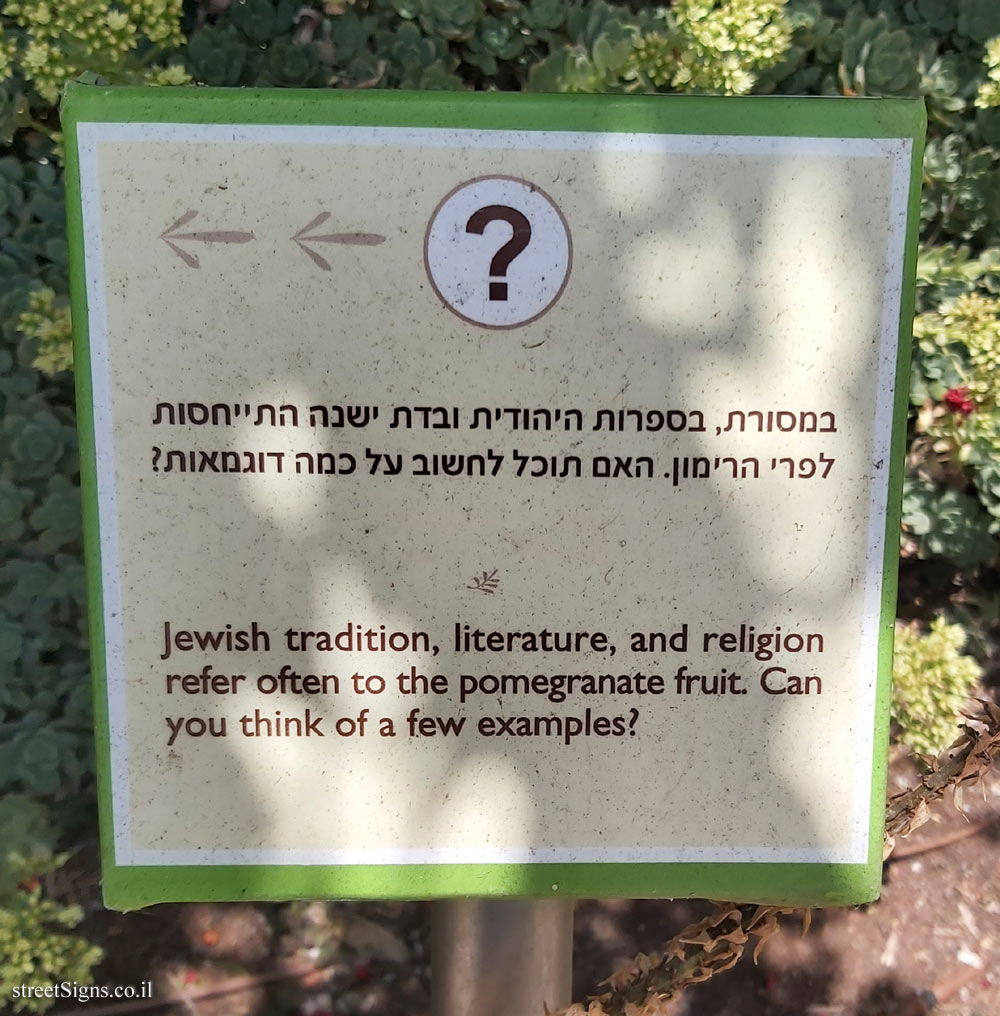 The Hebrew University of Jerusalem - Discovery Tree Walk - Pomegranate- The third face