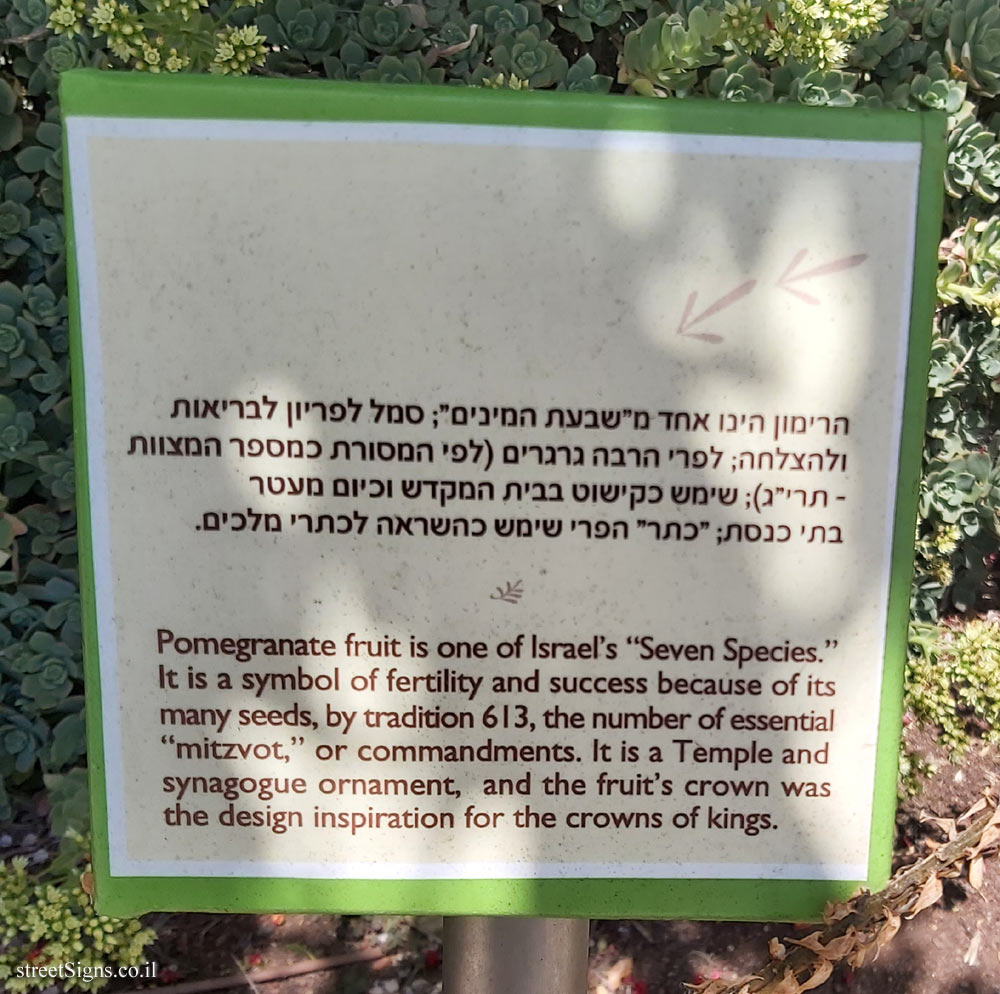The Hebrew University of Jerusalem - Discovery Tree Walk - Pomegranate- The fourth face