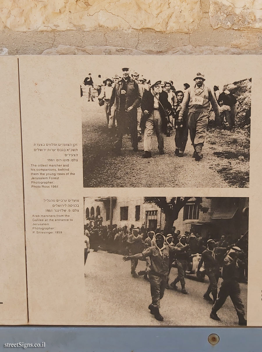 Jerusalem - Photograph in stone - Four-day march to Jerusalem - Board 2 - Safra Square 4, Jerusalem