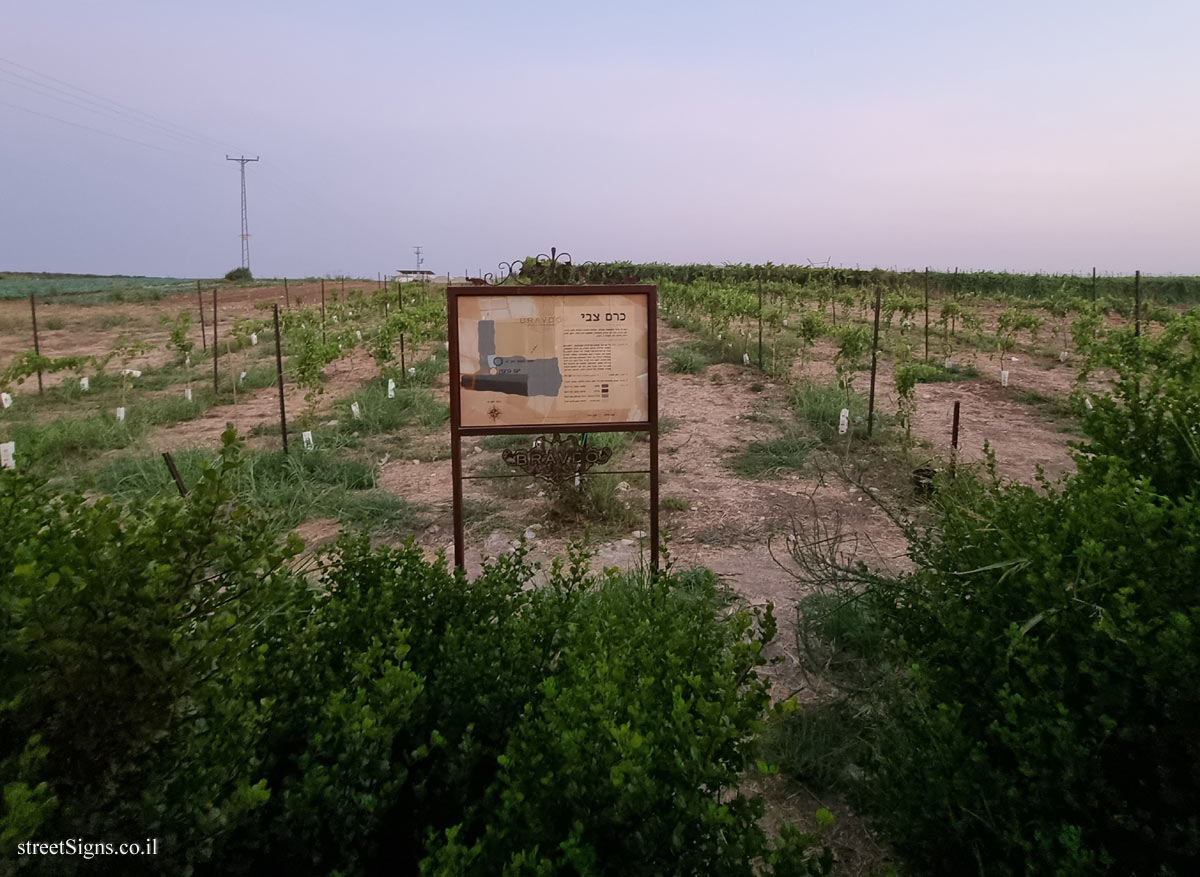 Bravdo Winery - Zvi Vineyard - Karmei Yosef, Israel