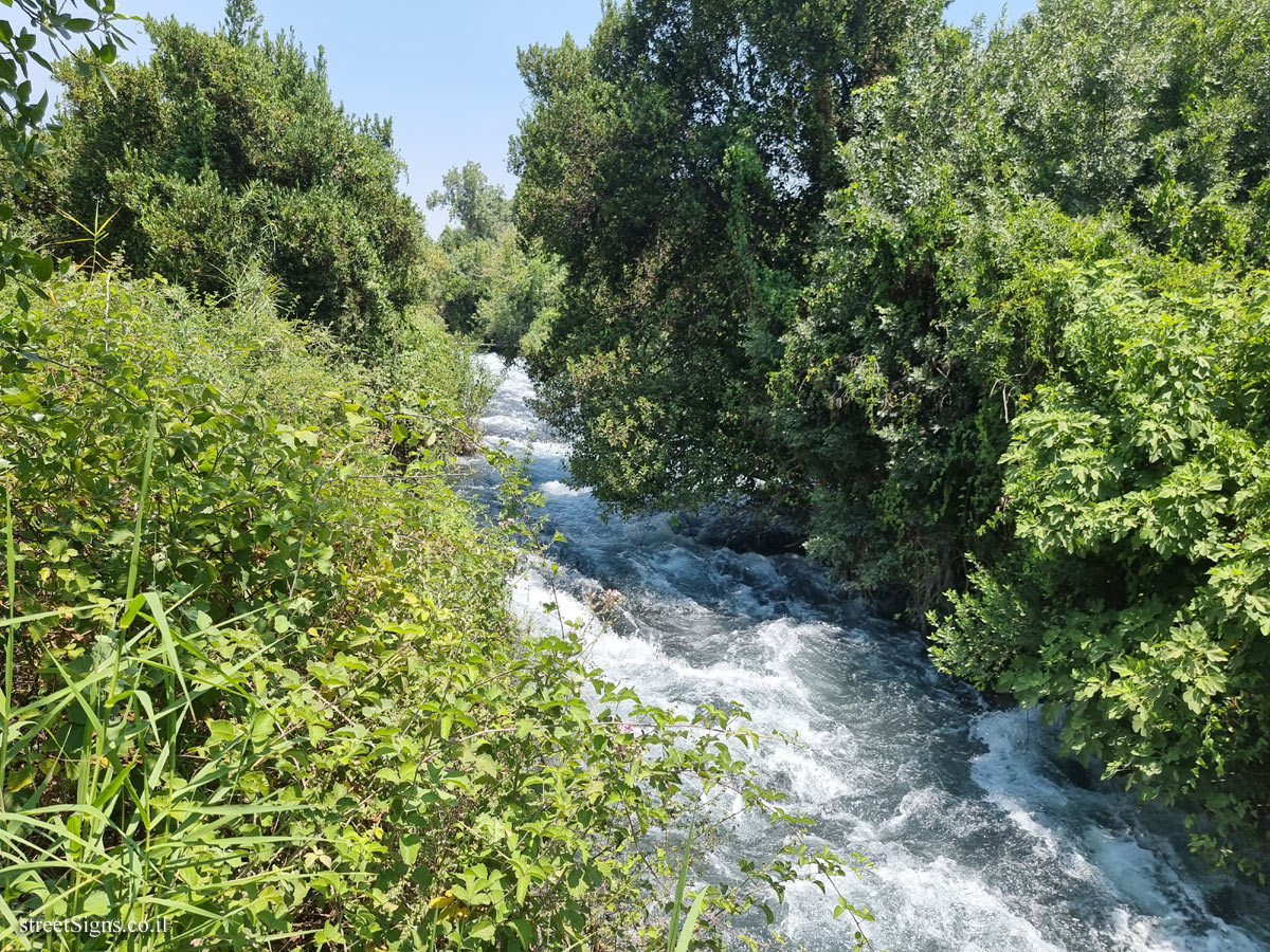 Tel Dan Nature Reserve - Emek Hulah, Israel