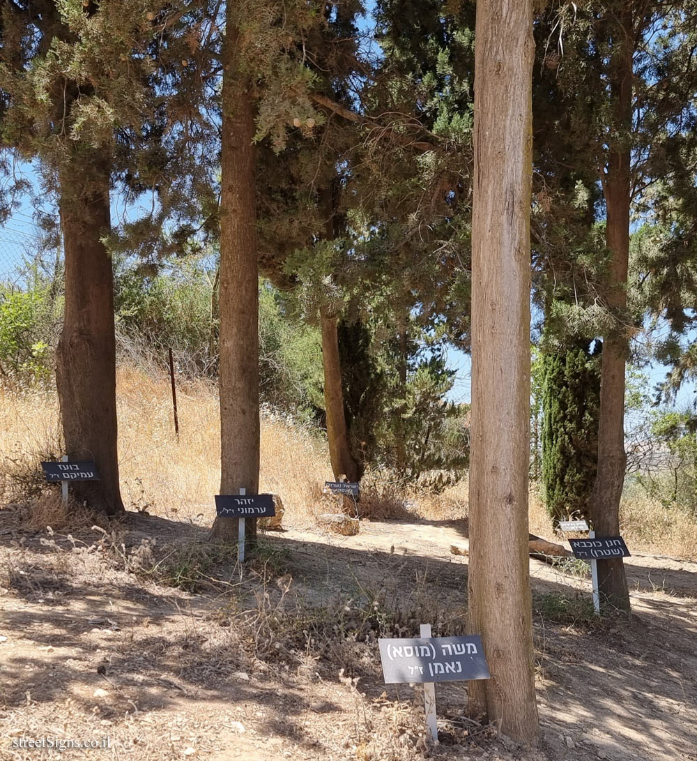Grove of the 28th - Yesha Junction, Israel