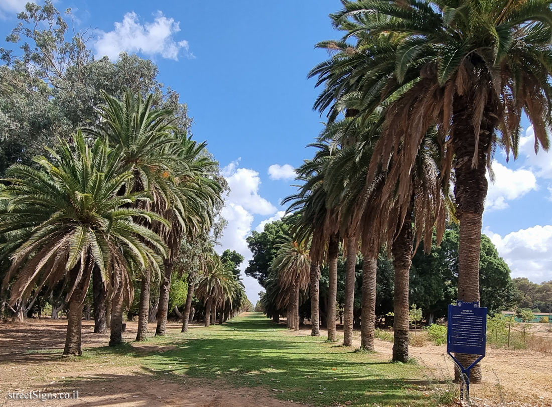 Mikve Israel - Heritage Sites in Israel - Botanical Garden - Sderot Krause 21, Israel