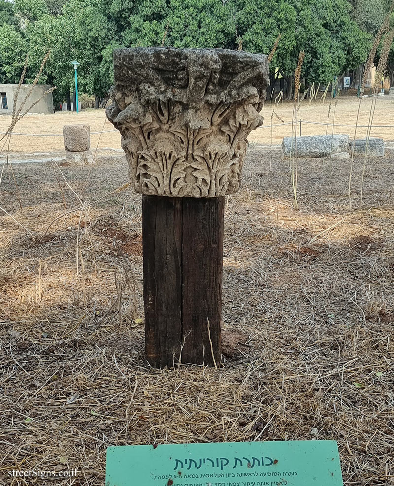 Tel Afek National Park - Corinthian Capital - Rosh Haayin, Israel