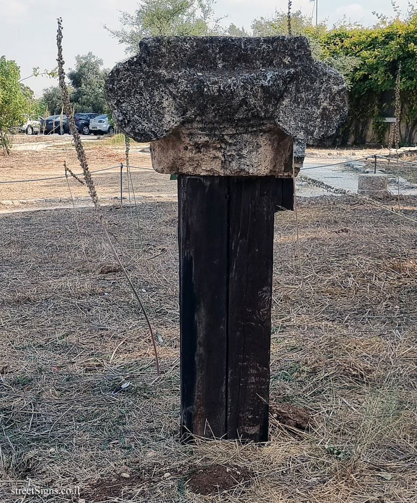 Tel Afek National Park - Ionic Capital - Rosh Haayin, Israel