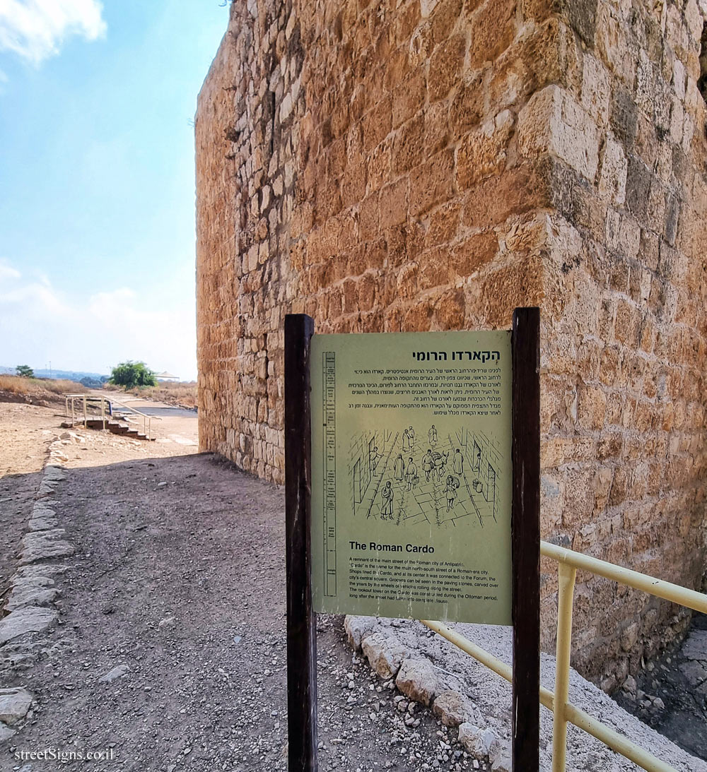 Tel Afek National Park - The Roman Cardo - Rosh Haayin, Israel