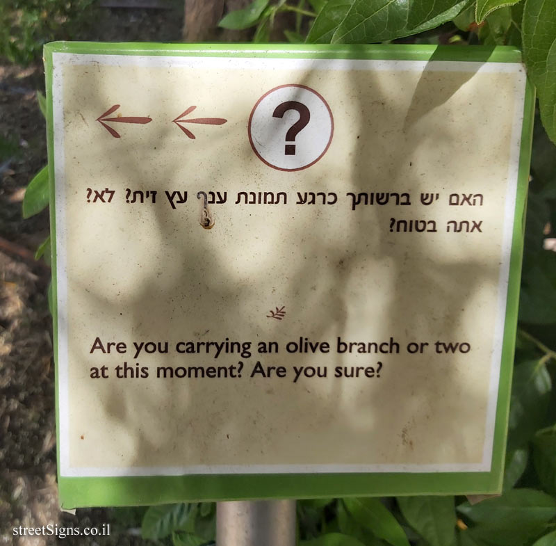 The Hebrew University of Jerusalem - Discovery Tree Walk - Olive - The third face
