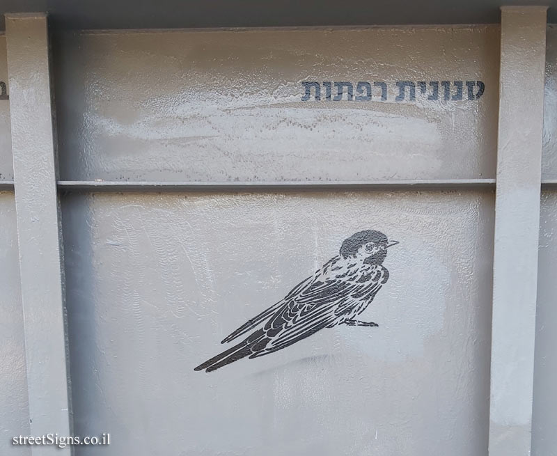 Tel Aviv - Birds of Tel Aviv - Barn swallow