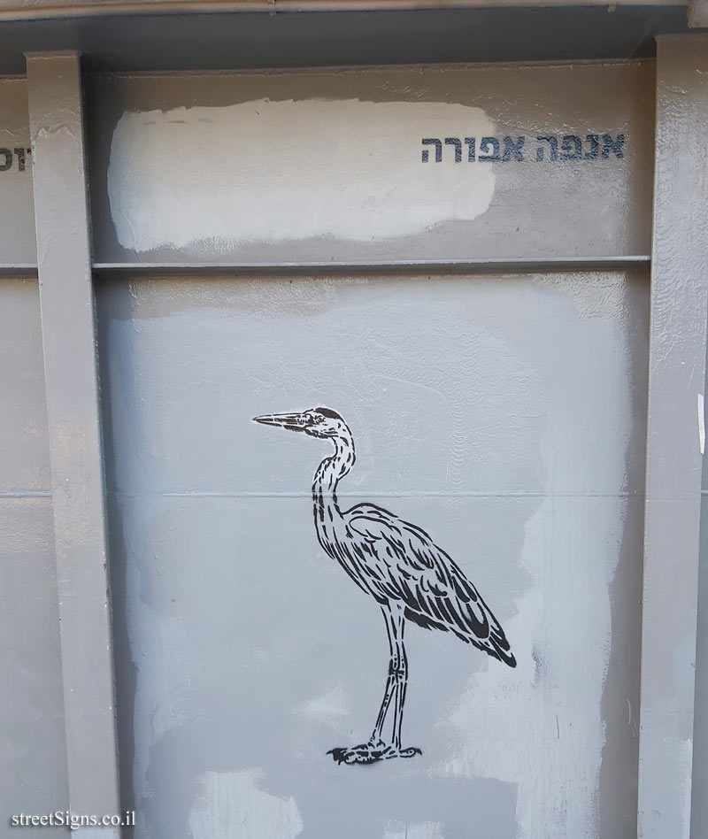 Tel Aviv - Birds of Tel Aviv - Grey heron