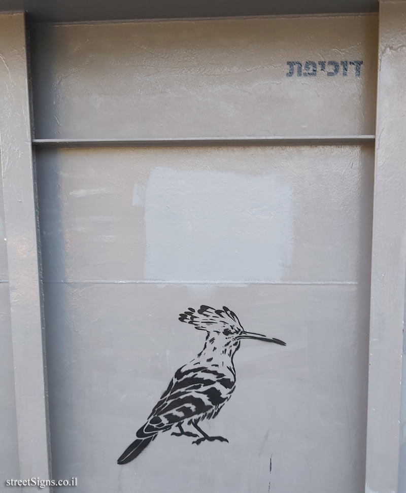 Tel Aviv - Birds of Tel Aviv - Hoopoe