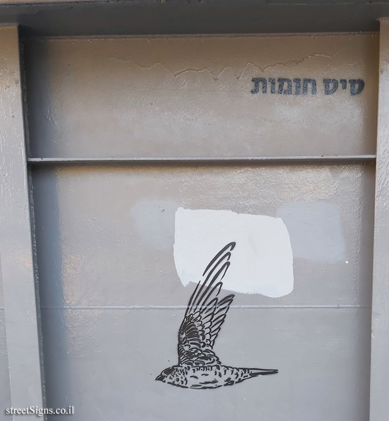 Tel Aviv - Birds of Tel Aviv - Common swift