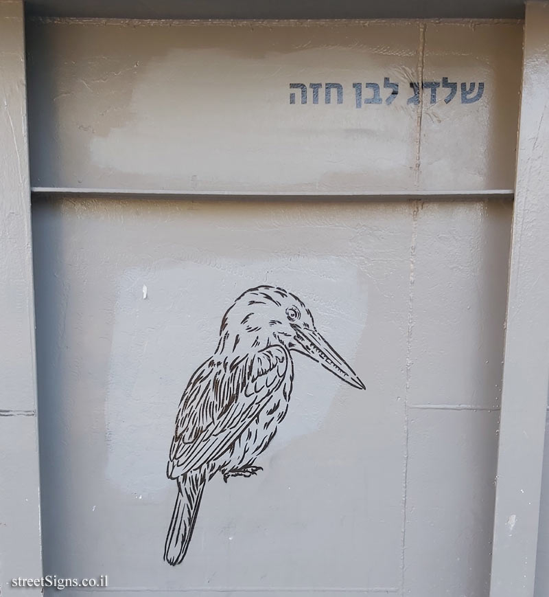 Tel Aviv - Birds of Tel Aviv - White-throated kingfisher