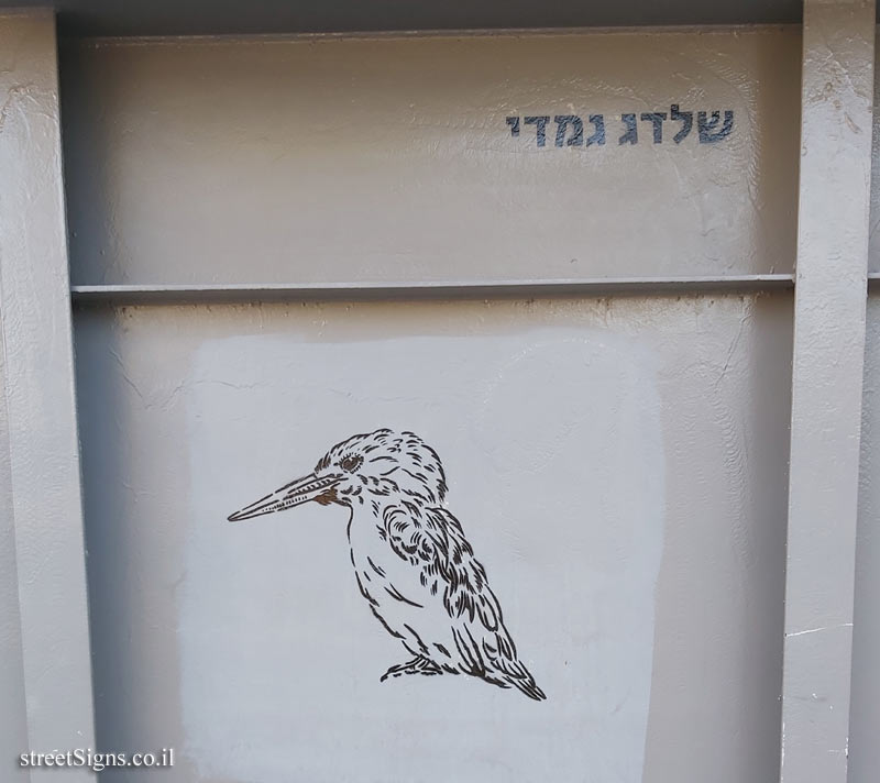 Tel Aviv - Birds of Tel Aviv - Common kingfisher