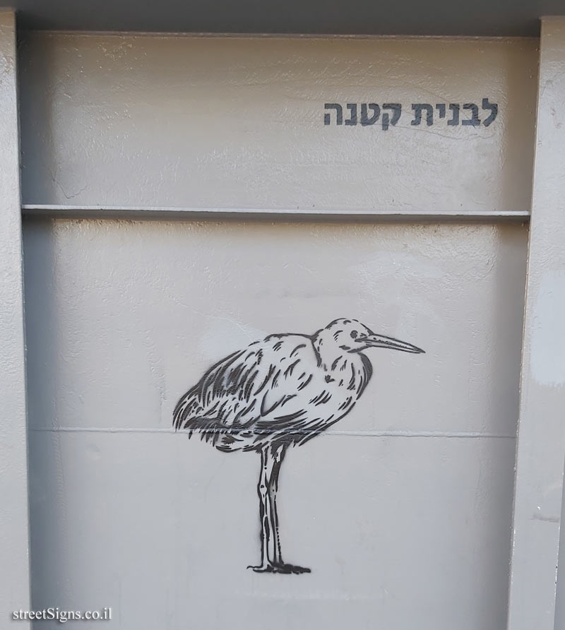 Tel Aviv - Birds of Tel Aviv - Little egret