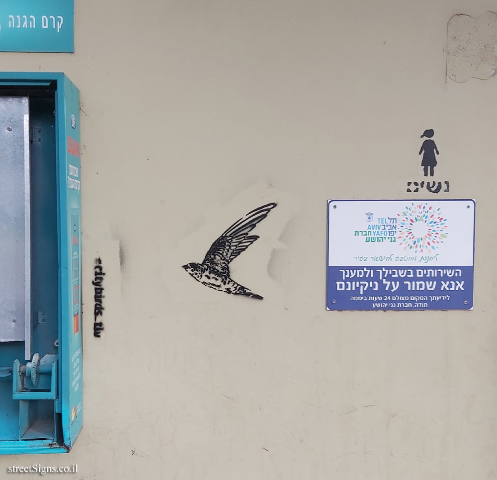 Tel Aviv - Hayarkon Park - Birds of Tel Aviv