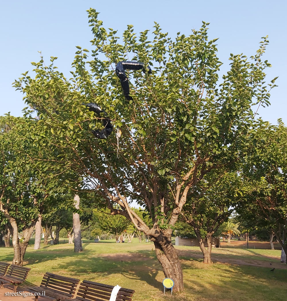 Ramat Gan - the national park - White Mulberry