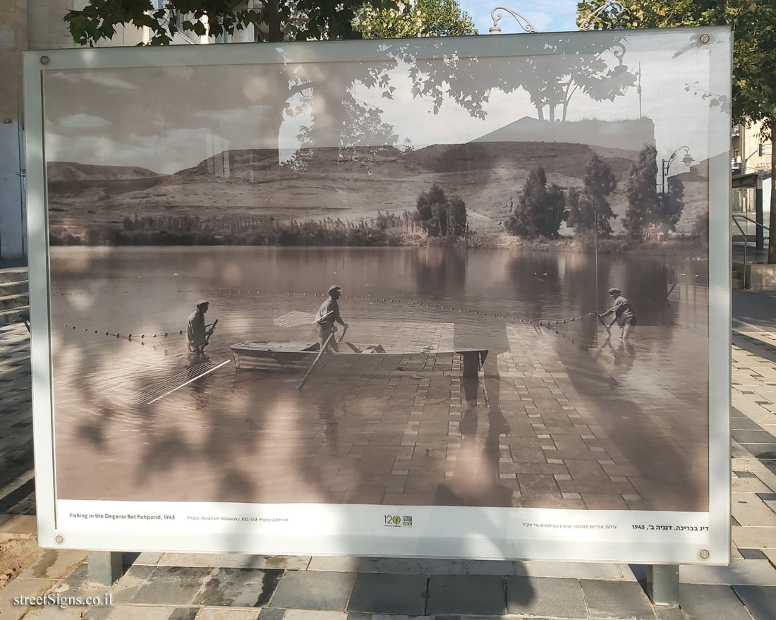 Jerusalem - Through the glass - 120 Years of JNF - Fishing in the Degania Bet fishpond, 1945