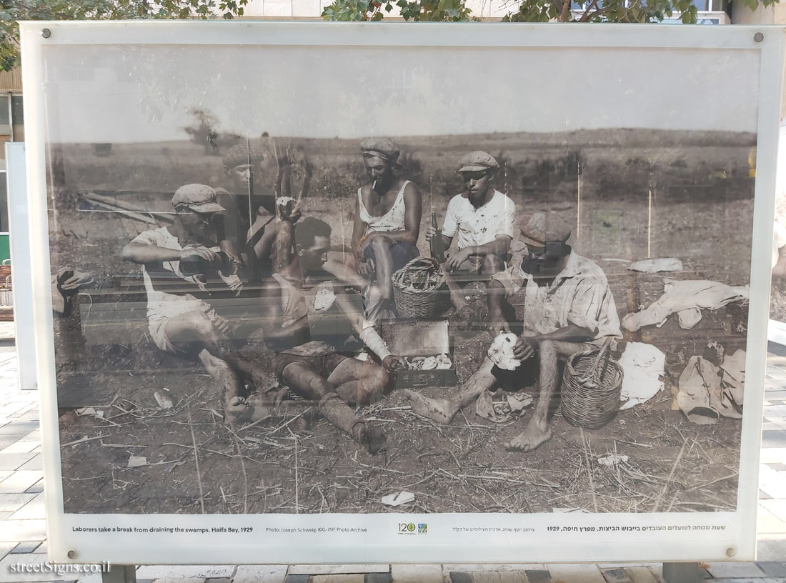 Jerusalem - Through the glass - 120 Years of JNF - Laborers take a break from draining the swamps. Haifa Bay, 1929