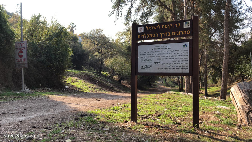 Kiryat Tivon - Crescents on the Templar Road