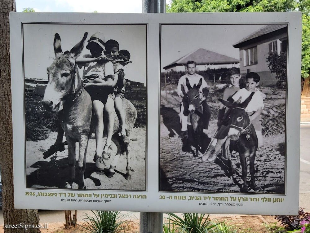 Ramot Hashavim - "How We Traveled Once" - John Wolf and David Hertz on the donkey near the house, 1930s, Tirza Raphael and Benjamin on Dr. Ginzburg’s Donkey, 1936