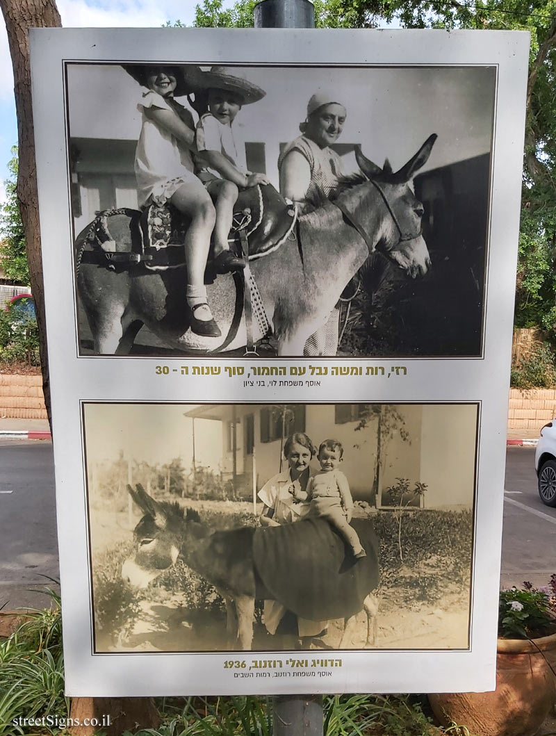 Ramot Hashavim - "How We Traveled Once" - Razi, Ruth and Moshe Nabel with the donkey, late 1930s, Hedwig and Eli Rosenov, 1936