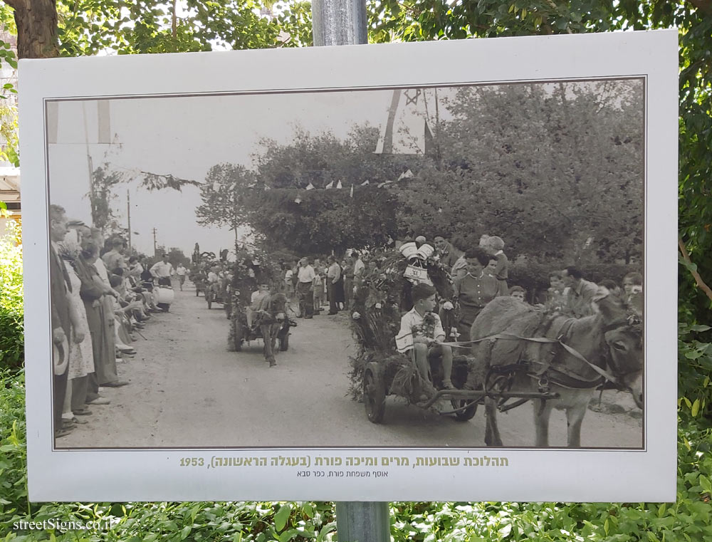 Ramot Hashavim - "How We Traveled Once" - Shavuot parade, Miriam and Micha Porat (in the first cart), 1953