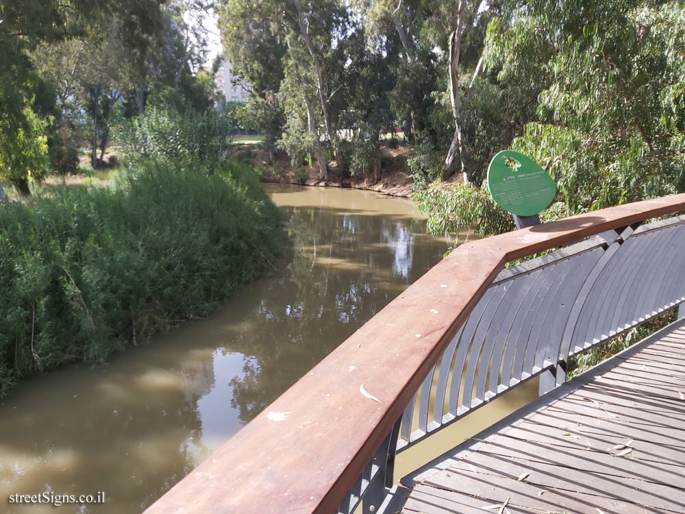 Ramat Gan - Jonathan Trail - Mallard - Rokach St 143, Ramat Gan, Israel