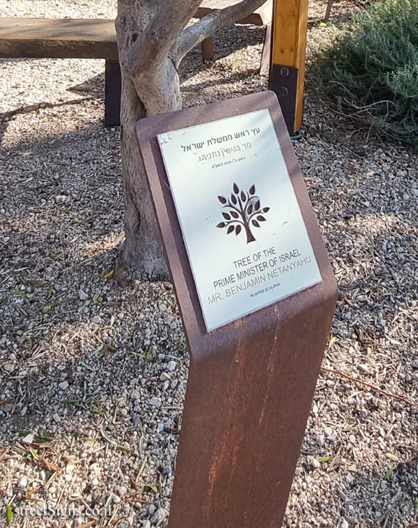 Ariel Sharon Park - Tree of Benjamin Netanyahu