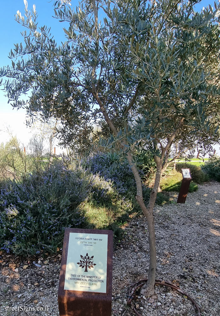 Ariel Sharon Park - Tree of Zeev Elkin