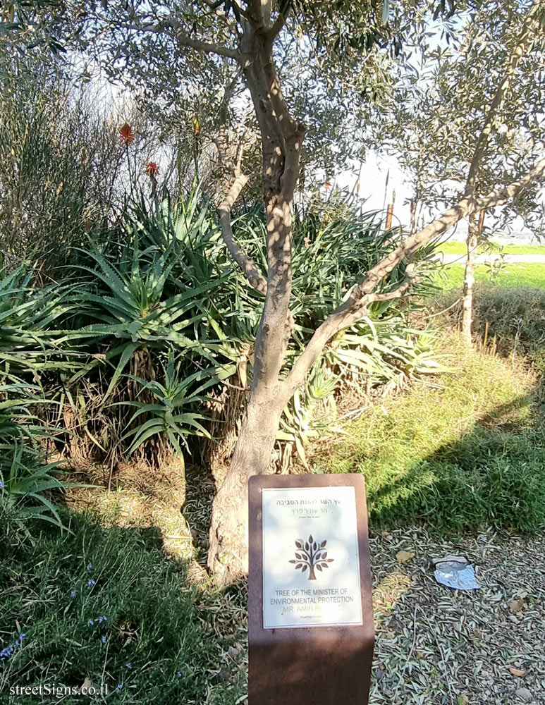 Ariel Sharon Park - Tree of Amir Pertz