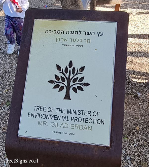 Ariel Sharon Park - Tree of Gilad Erdan