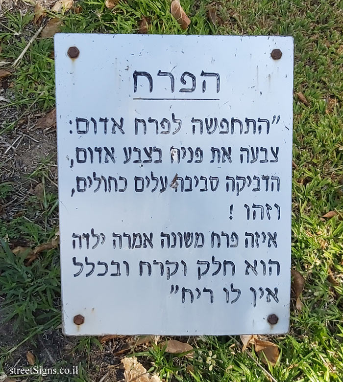 The previous image belongs to this sign