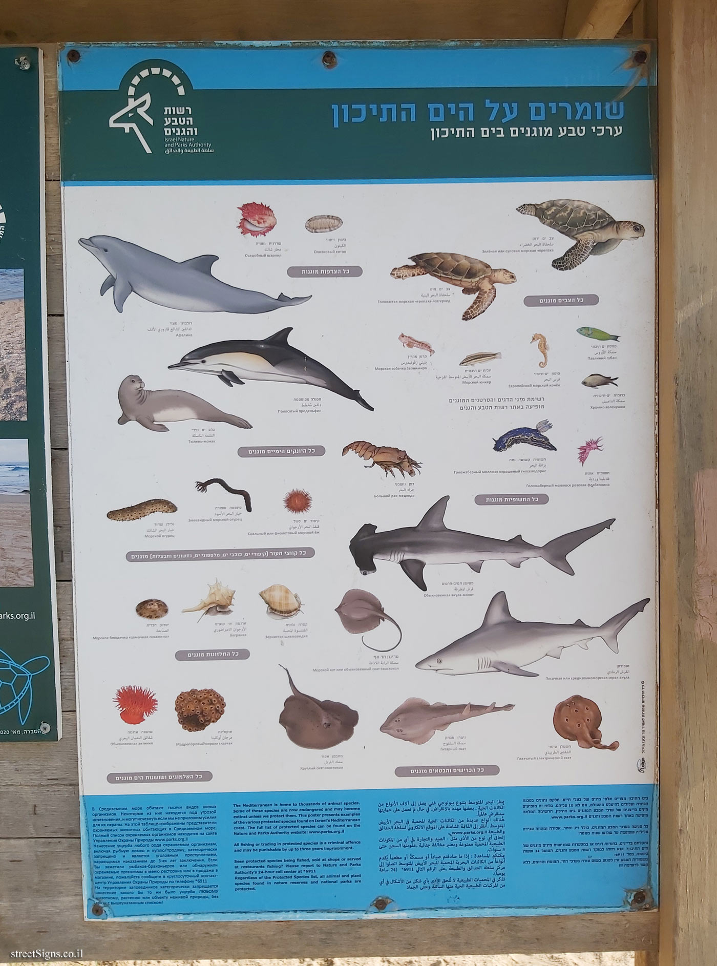 Beit Yanai Beach - Mediterranean fish - Sign 1